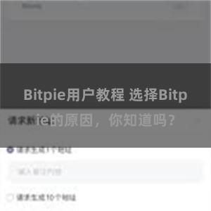 Bitpie用户教程 选择Bitpie的原因，你知道吗？