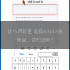 比特派轻量 选择Bitpie的原因，你知道吗？