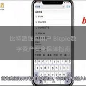 比特派钱包用户 Bitpie数字资产安全保障指南