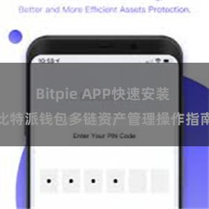 Bitpie APP快速安装 比特派钱包多链资产管理操作指南