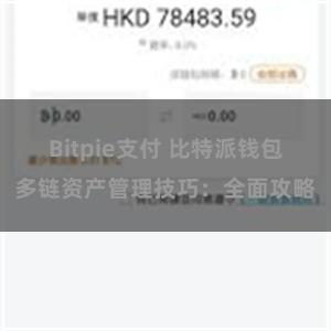 Bitpie支付 比特派钱包多链资产管理技巧：全面攻略