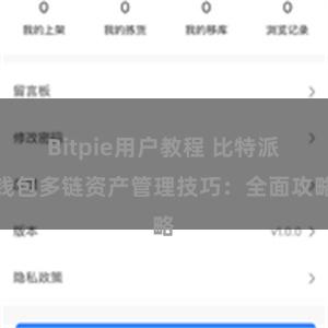 Bitpie用户教程 比特派钱包多链资产管理技巧：全面攻略