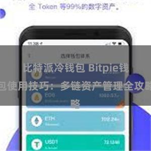 比特派冷钱包 Bitpie钱包使用技巧：多链资产管理全攻略