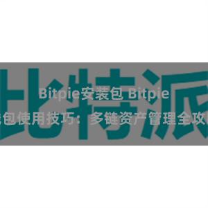 Bitpie安装包 Bitpie钱包使用技巧：多链资产管理全