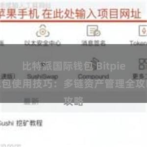 比特派国际钱包 Bitpie钱包使用技巧：多链资产管理全攻略