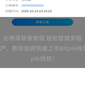 比特派转账教程 轻松管理多链资产，教你如何快速上手Bitpie钱包！