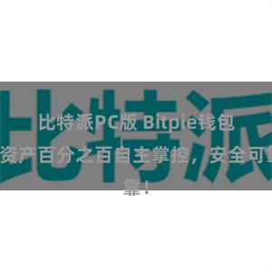 比特派PC版 Bitpie钱包：资产百分之百自主掌控，安全可靠！