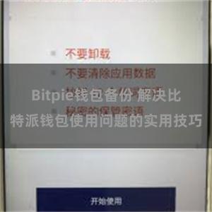 Bitpie钱包备份 解决比特派钱包使用问题的实用技巧