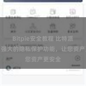 Bitpie安全教程 比特派钱包：强大的隐私保护功能，让您资产更安全