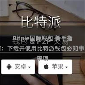 Bitpie国际钱包 新手指南：下载并使用比特派钱包必知事项