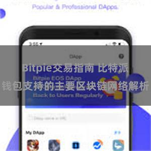 Bitpie交易指南 比特派钱包支持的主要区块链网络解析