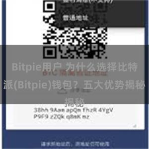 Bitpie用户 为什么选择比特派(Bitpie)钱包？五大优势揭秘