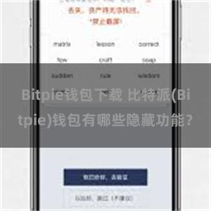 Bitpie钱包下载 比特派(Bitpie)钱包有哪些隐藏功能？