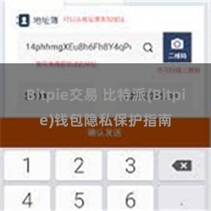 Bitpie交易 比特派(Bitpie)钱包隐私保护指南