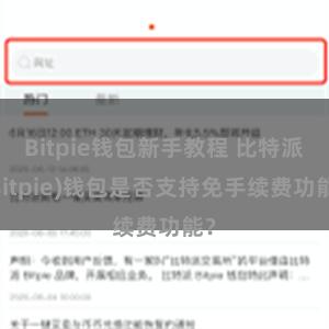 Bitpie钱包新手教程 比特派(Bitpie)钱包是否支持